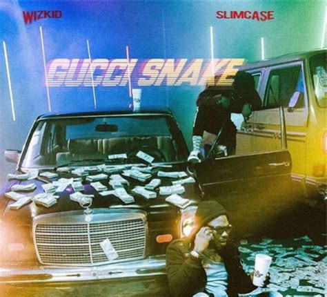 what species of snake is the gucci snake|wizkid Gucci snake ft slimcase.